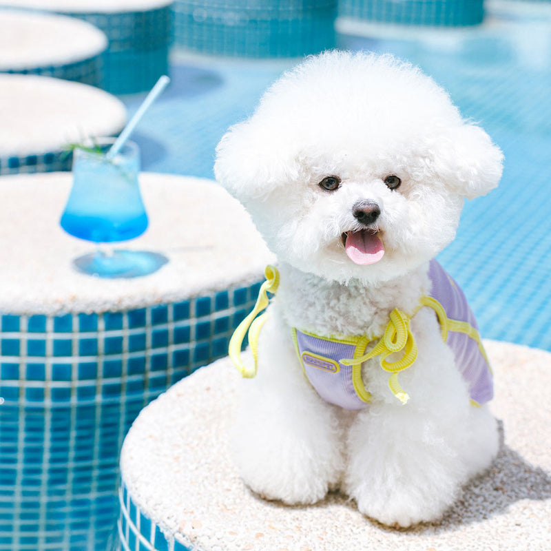 MookiPet® Breathable Mesh Vest for Dogs