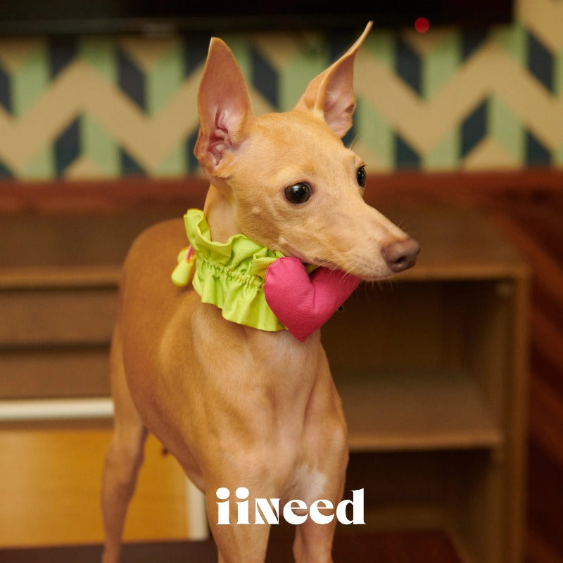 iiNeed® Heart-Shaped Pet Bibs & Scarves