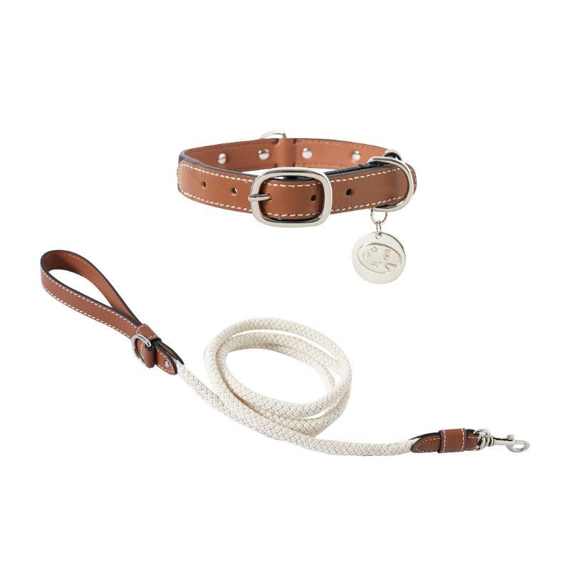 PalettePet® Color-Blocked Stud Leather Dog Collar & Leash Set - KIKOPALS