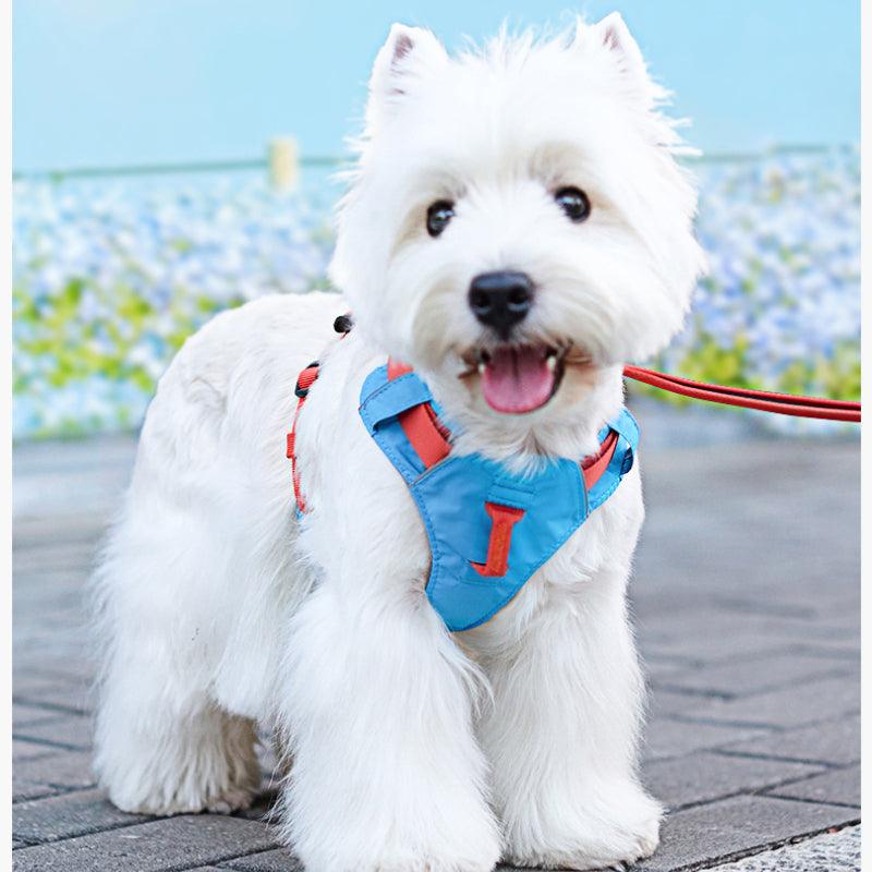 TOUCHDOG® Airsoft Harness & Leash Set - KIKOPALS