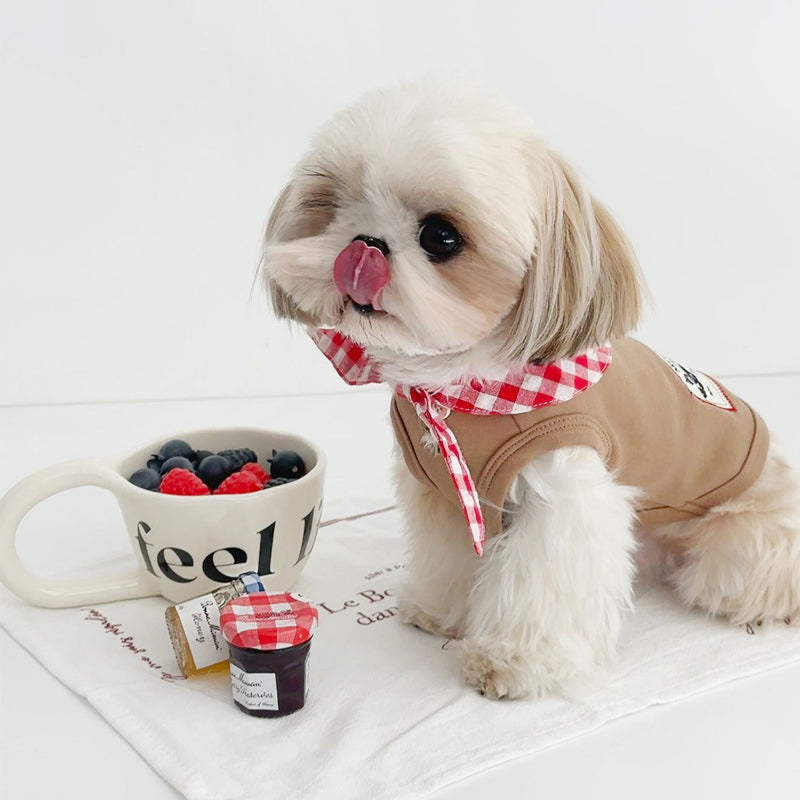 MooliBang® Plaid Collar Sleeveless Vest for Small Dogs – Blue/Red