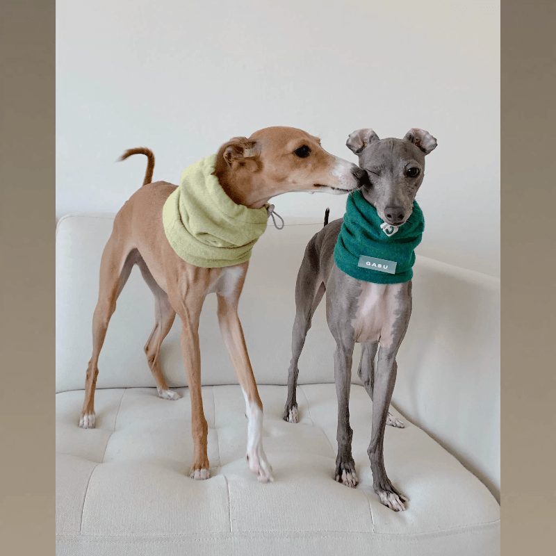 GASU® Woolen Pet Snood - KIKOPALS