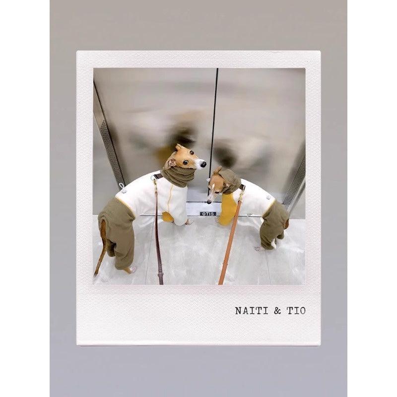 GASU® Soft Italian Leather Dog Leash - KIKOPALS