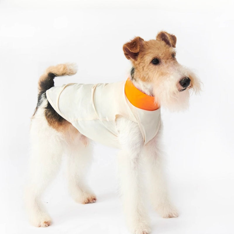 Nuoz® Pet Cooling Base Layer with Color Block Design for Dogs