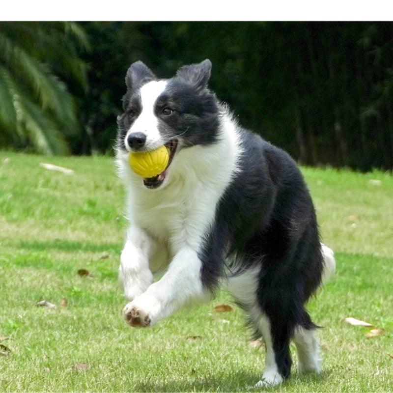 MoovaLab® Durable EVA Dog Ball Toy - KIKOPALS