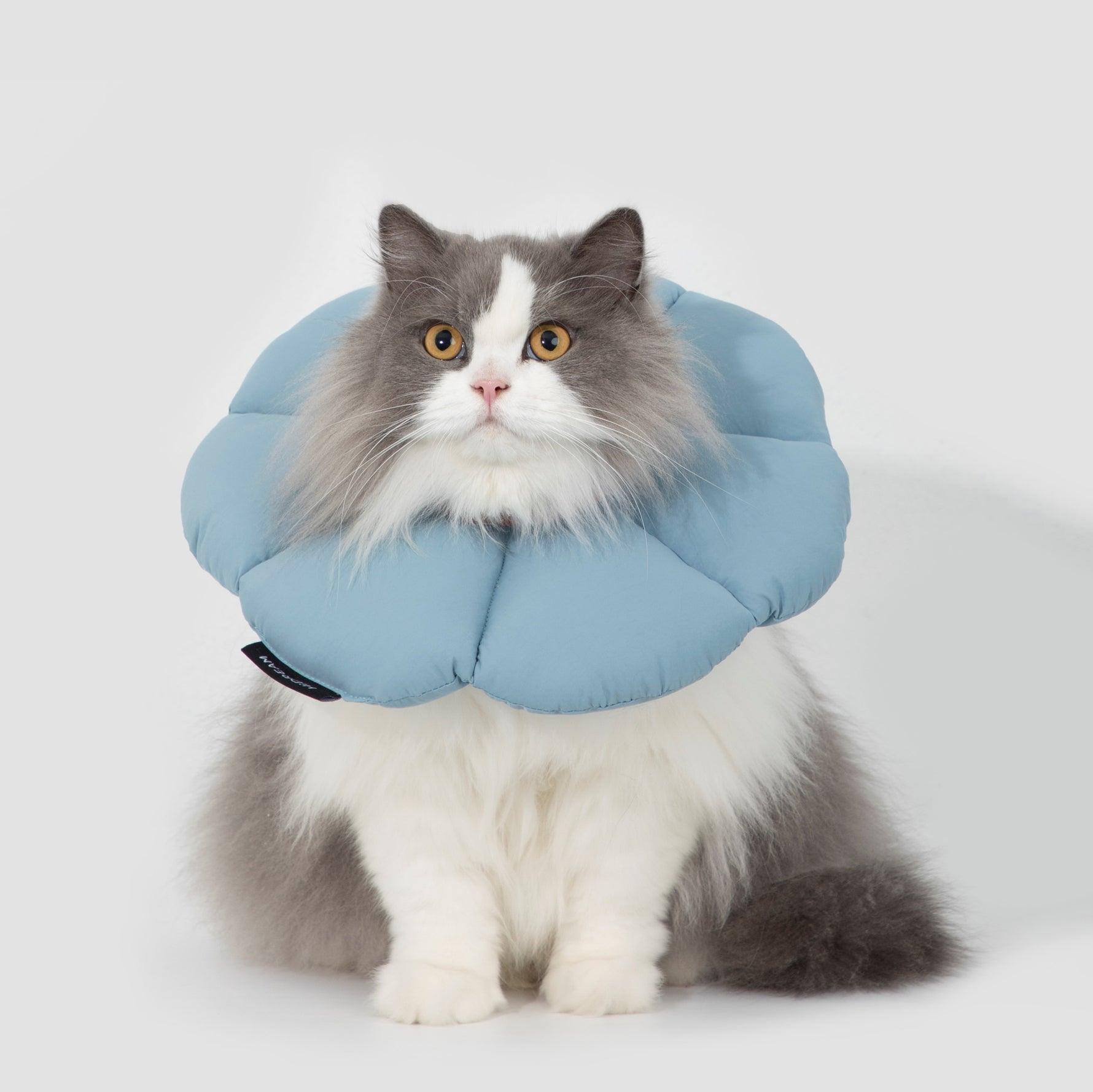 HiDREAM® Pet Flower Elizabethan Collar - KIKOPALS