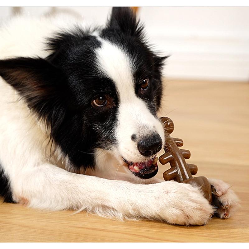 MoovaLab® Fish Bone Dog Chew Toy - KIKOPALS