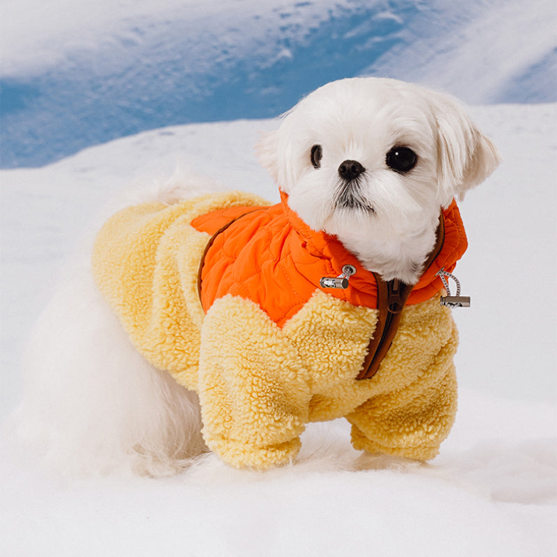 ZEZE® Windproof Pet Jacket for Small Dogs