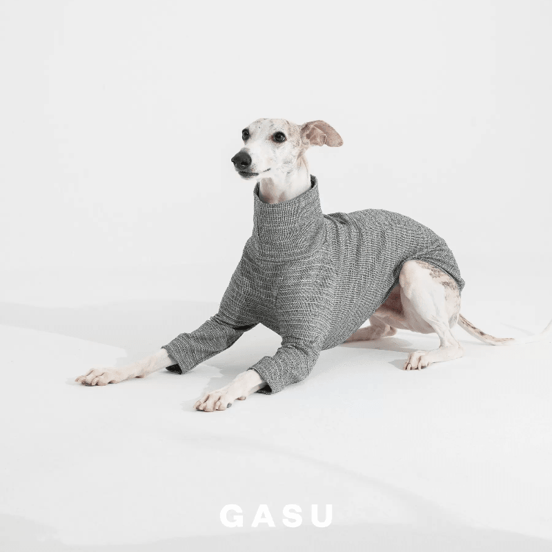 GASU® Grey Slim-Fit Two-Legged Dog Shirt - KIKOPALS