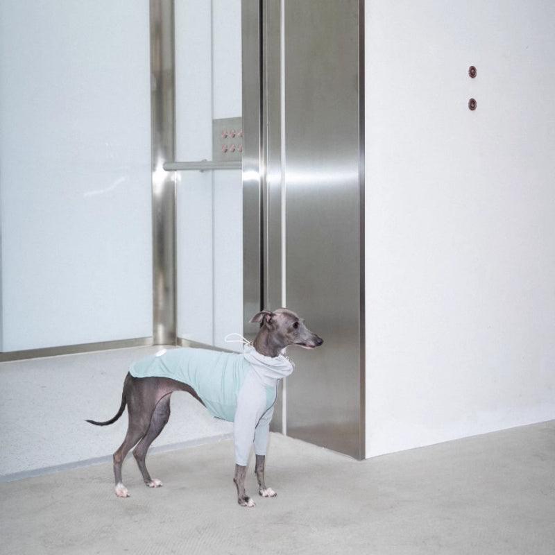 LazyEazy® Colorblock Dog Coat - KIKOPALS