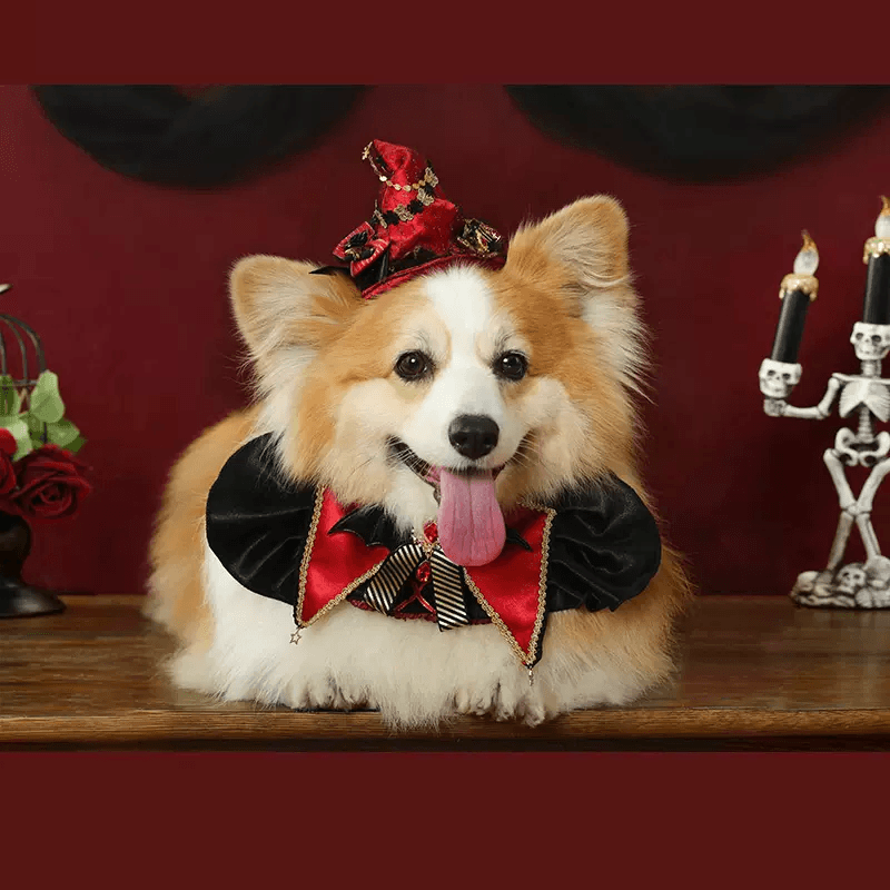 BITEONE® Halloween Themed Bib - KIKOPALS