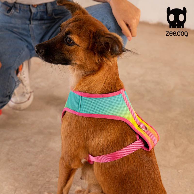 Zee.Dog® Gradient Color Dog Harness - KIKOPALS