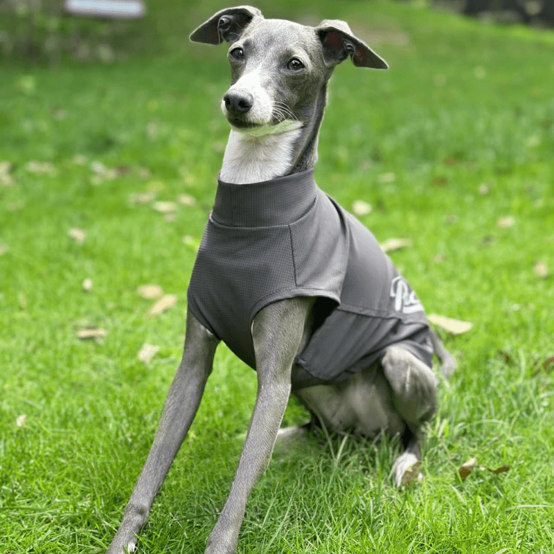 A HUNTING DOG® Dog Cooling Vest - KIKOPALS