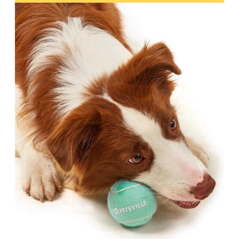 PETSVILLE® Tennis Outdoor Pet Interactive Ball - KIKOPALS