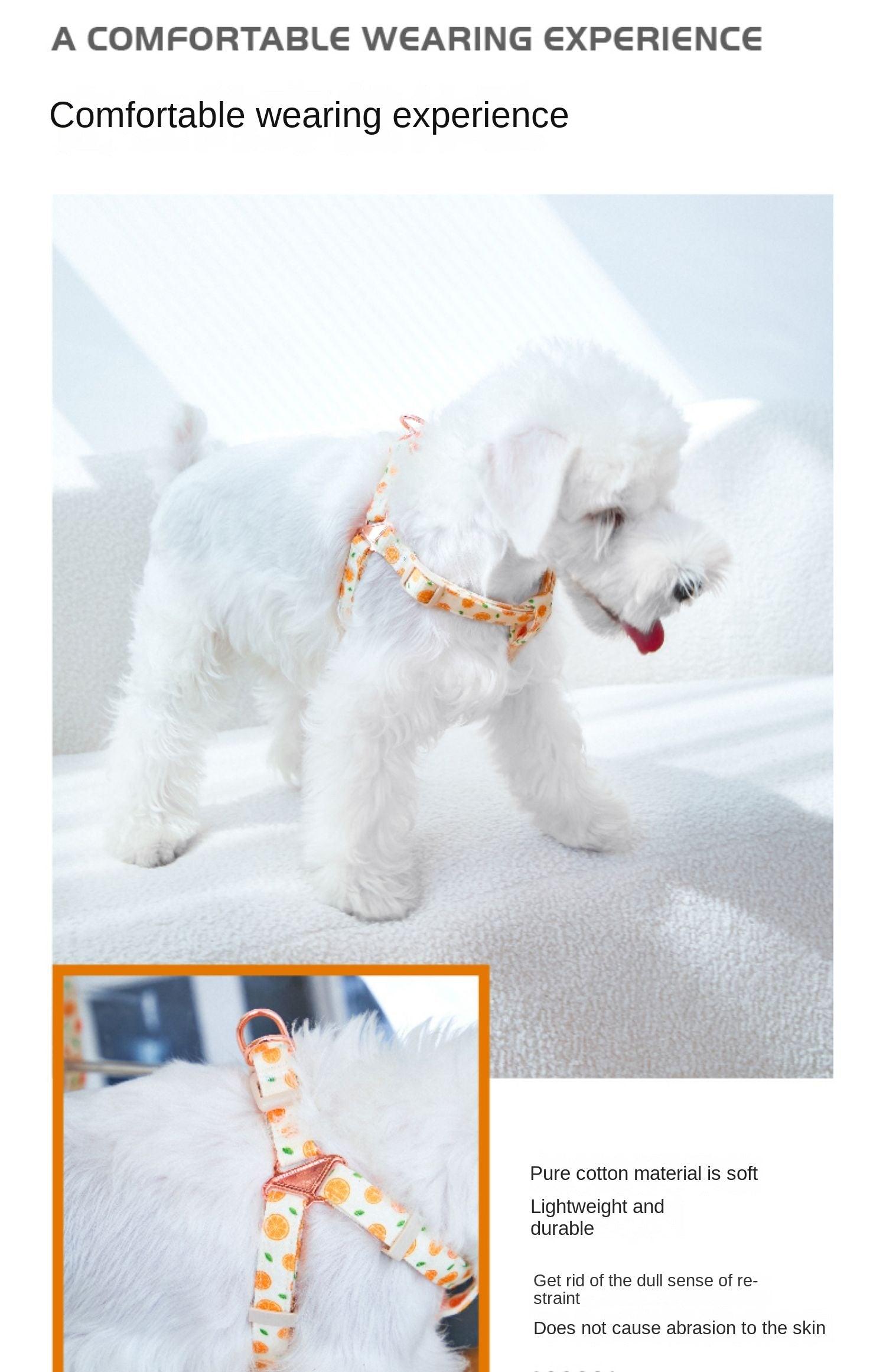 ARKIKA® Fruit-Colored Dog Harness Leash Kit - KIKOPALS