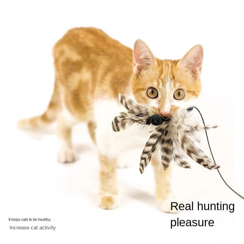 MEOWCARD® Stretch Rope Cat Teaser - KIKOPALS