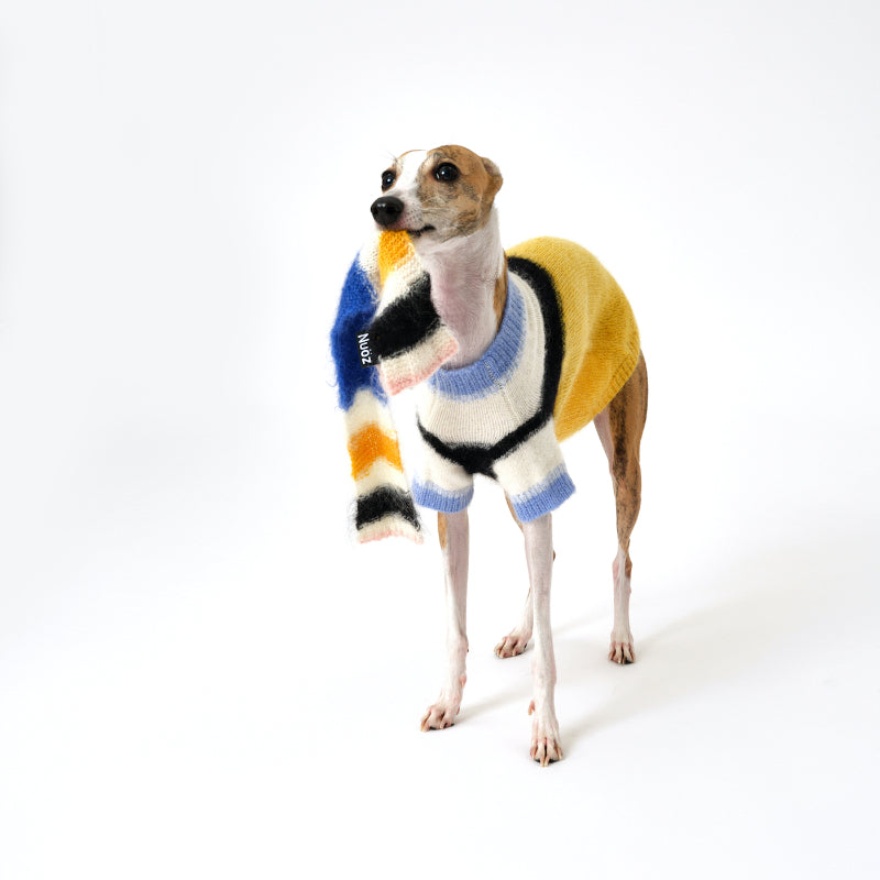 Nuoz® Gradient Color Block Sleeveless Knit Vest for Dogs