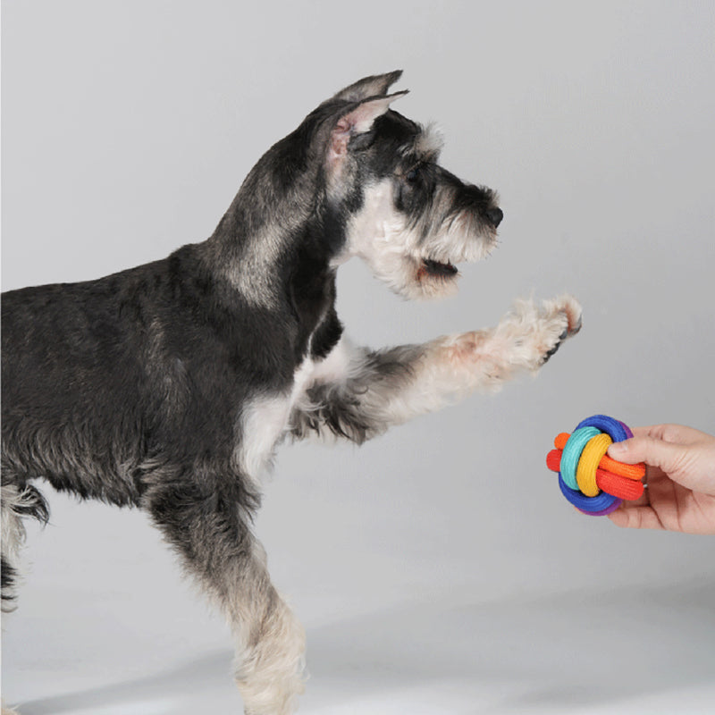 PAWZCITY® Rainbow Ball Pet Toy