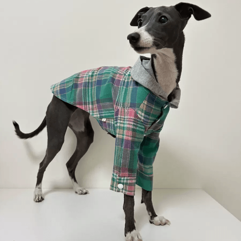 A HUNTING DOG® Dog Striped Hoodie - KIKOPALS