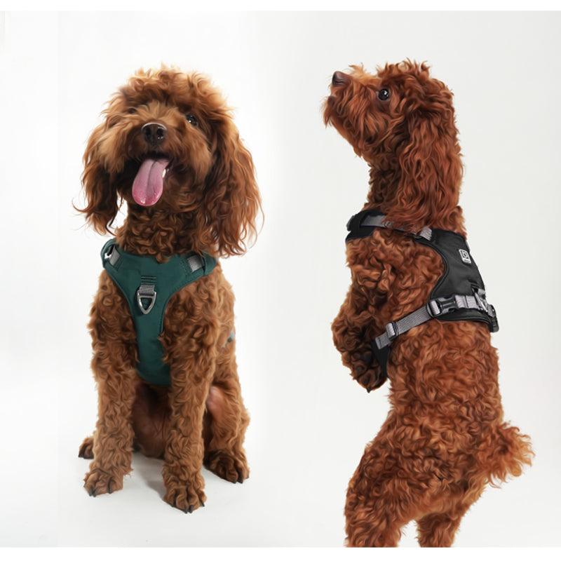 BeauGo® Harnesses for Small Pet - KIKOPALS