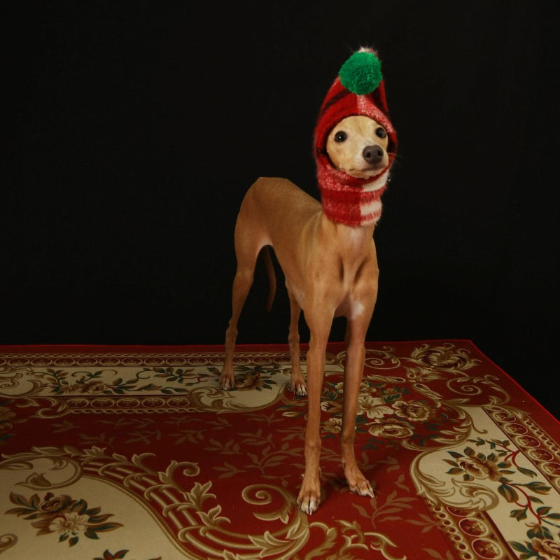 iiNeed® Adorable Red Plaid Hat With Pom-Pom for Dogs