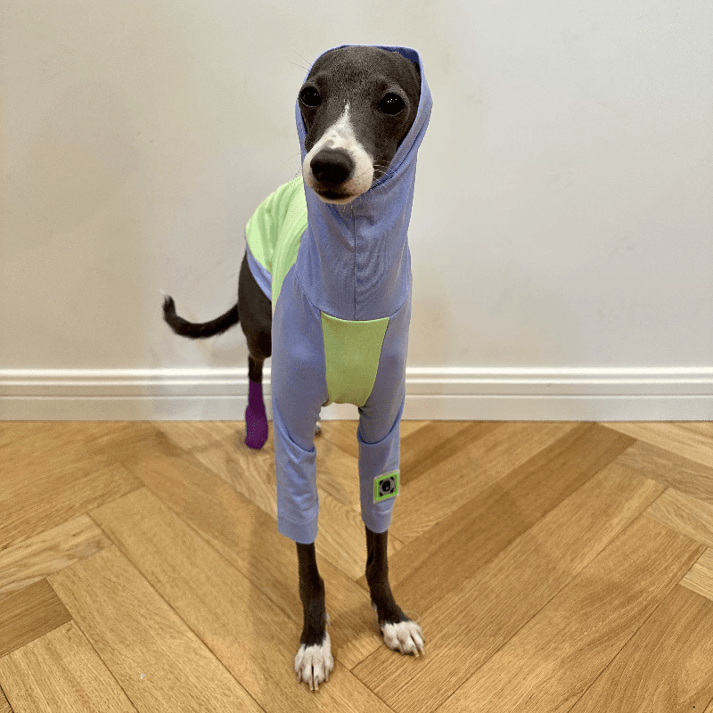 A HUNTING DOG® Dog High-neck Color-blocked T-shirt - KIKOPALS