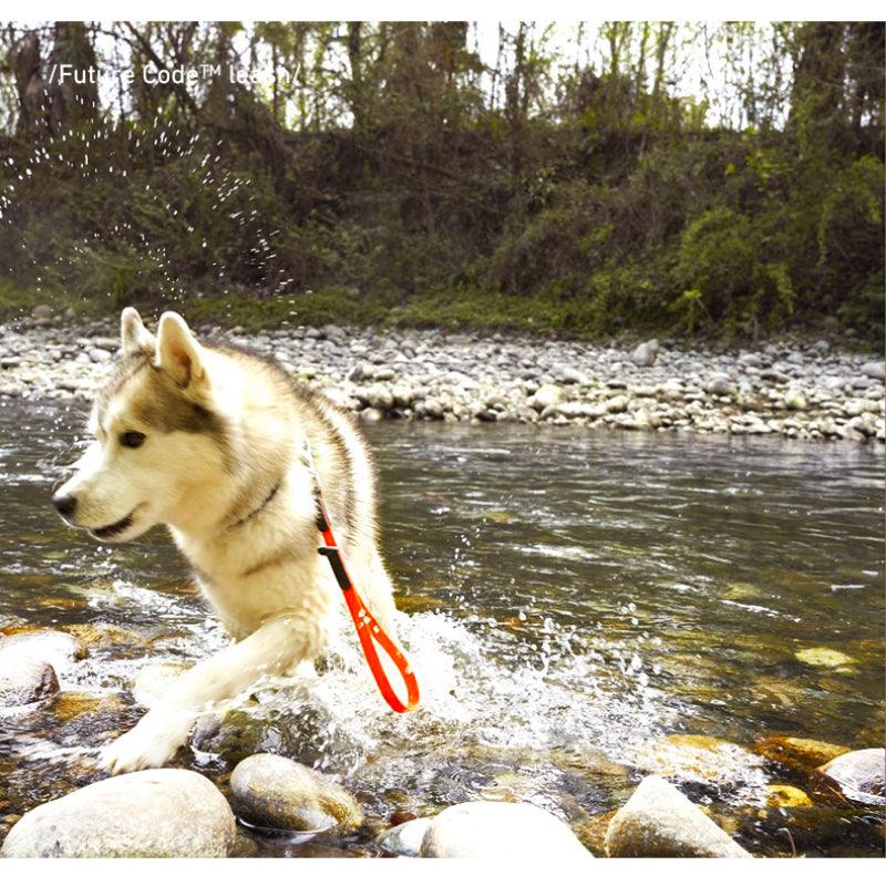 BeauGo® Dog/Cat Leash for Small Pet - KIKOPALS