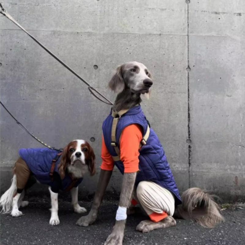 BBPRODUCTION® Galaxy Dog Winter Coat - KIKOPALS