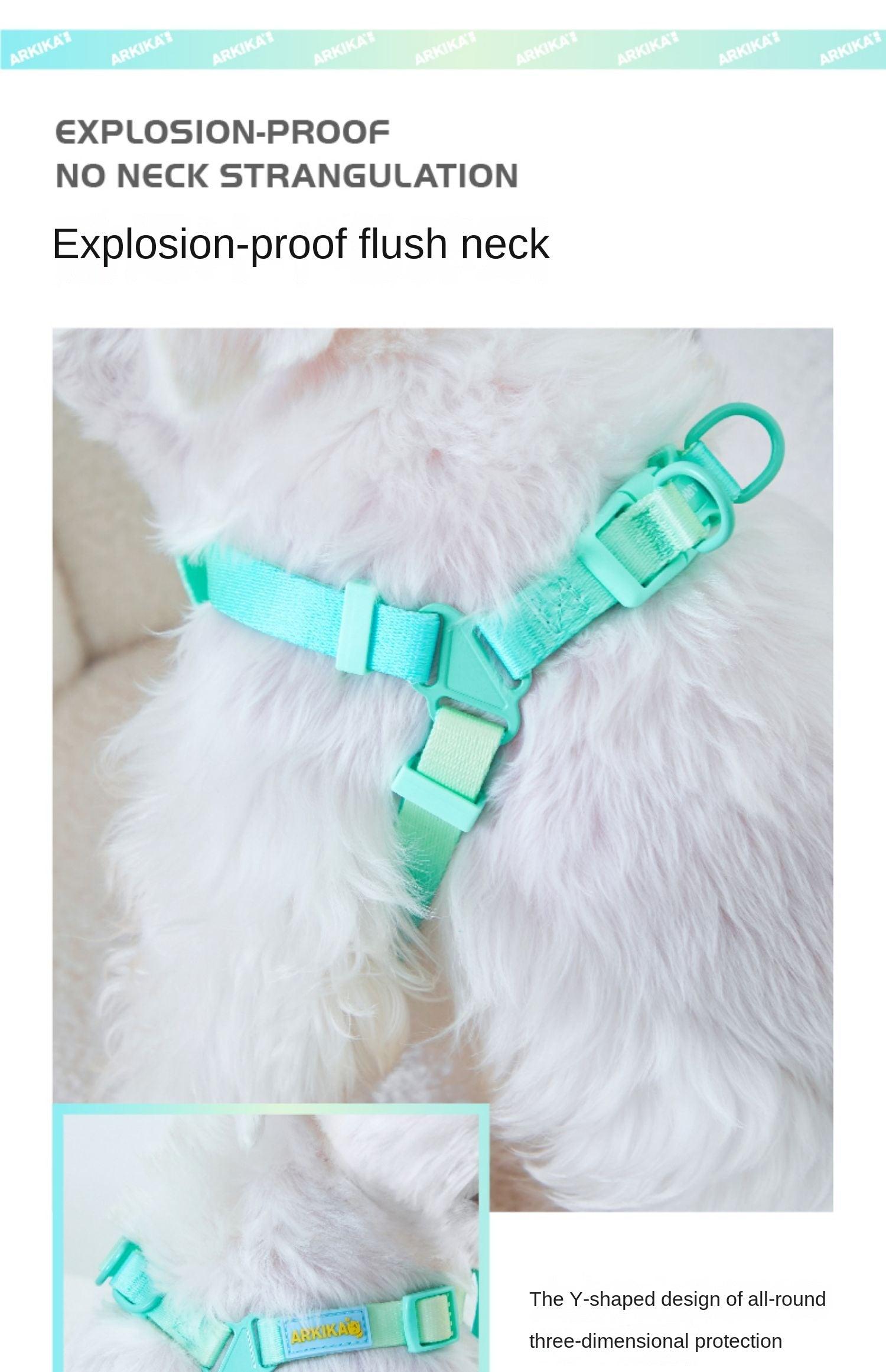 ARKIKA® Gradient No-Pull Dog Harness Leash - KIKOPALS