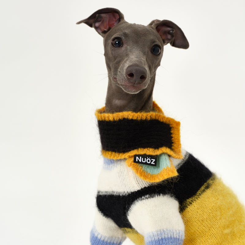 Nuoz® Gradient Color Block Sleeveless Knit Vest for Dogs