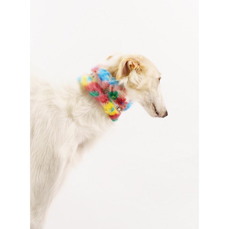 SNUGHUGS® Rainbow Pet Collar - KIKOPALS