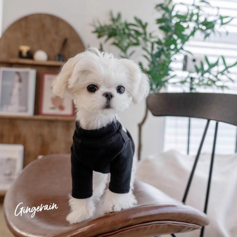 GINGERAIN® Warm Dog Sweatshirt - KIKOPALS