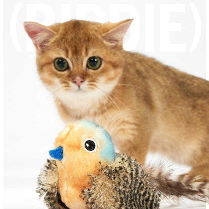 FOFOS® Happy Bird Sound Cat Toy - KIKOPALS