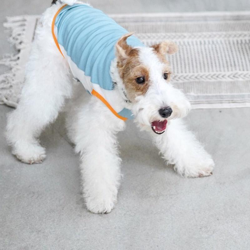 Hound Co.® Lightweight Cooling Vest for Pets - KIKOPALS