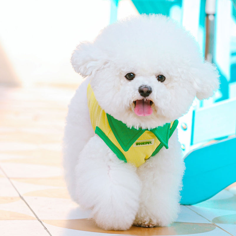 MookiPet® Yellow Lightweight Vest for Small Dogs & Cats