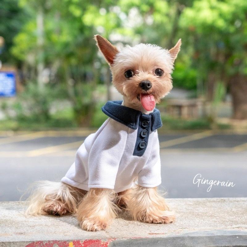 GINGERAIN® White and Navy Pet Polo Pet Shirt - KIKOPALS