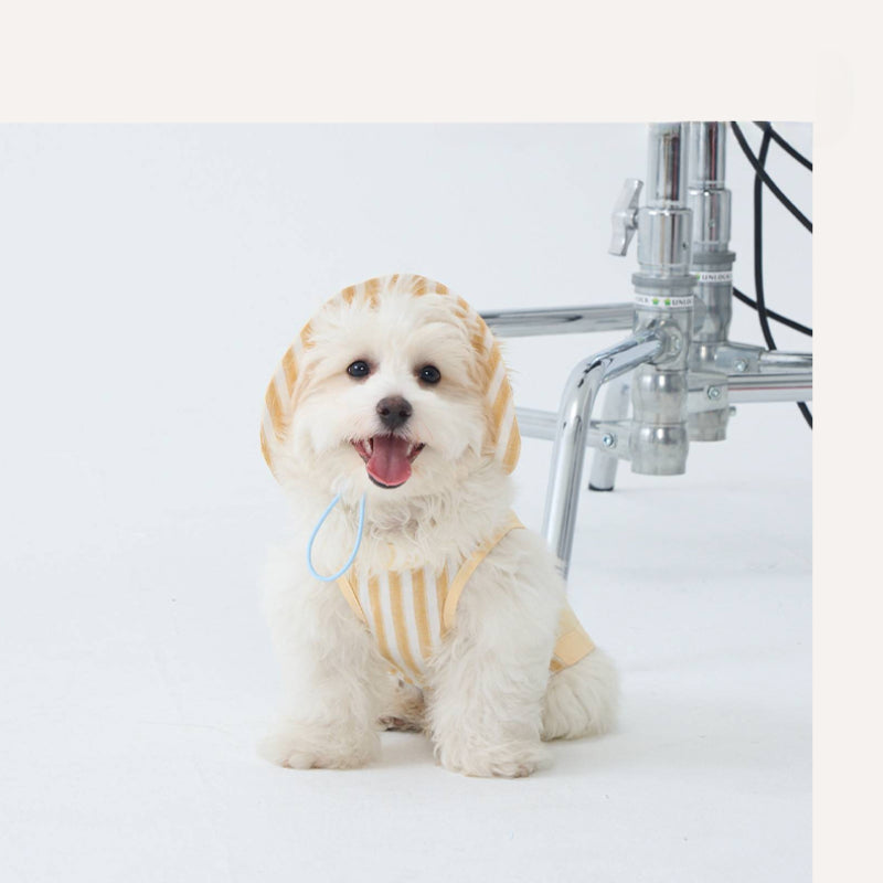 LIKAPAWS® Cotton Yellow Dog Shirt & Sun Hat Set