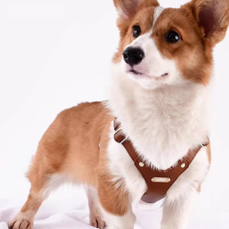 Minly® Leather Dog Harness and Leash Set - KIKOPALS