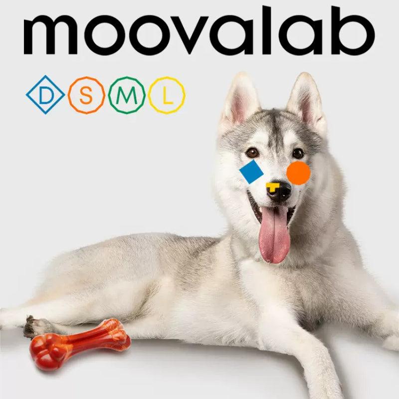 MoovaLab® Durable Chew Toy Bone for Dogs - KIKOPALS