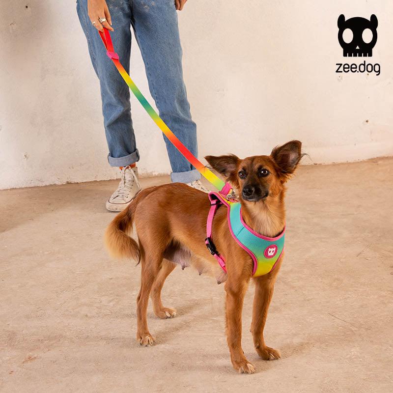 Zee.Dog® Gradient Color Dog Harness - KIKOPALS