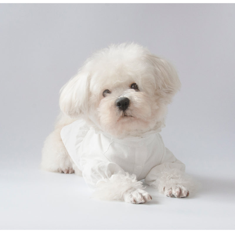 MARSHMALLOW® Vintage Ruffled Collar Shirt Dress for Dogs