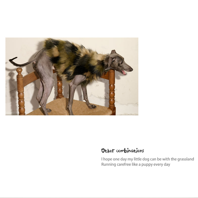 Swingpuppy® Dog Suede & Fur Collar Jacket