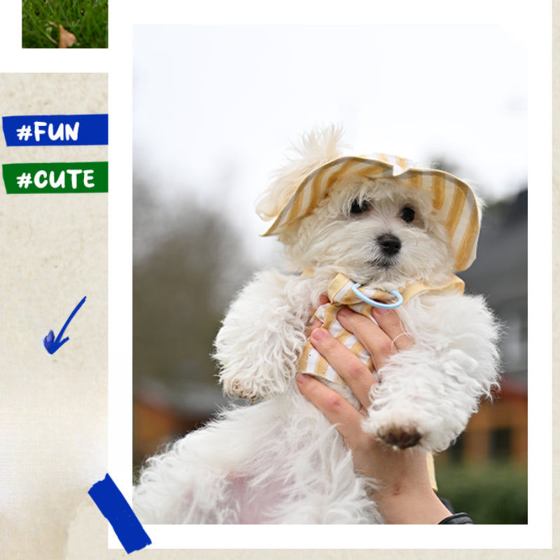 LIKAPAWS® Cotton Yellow Dog Shirt & Sun Hat Set