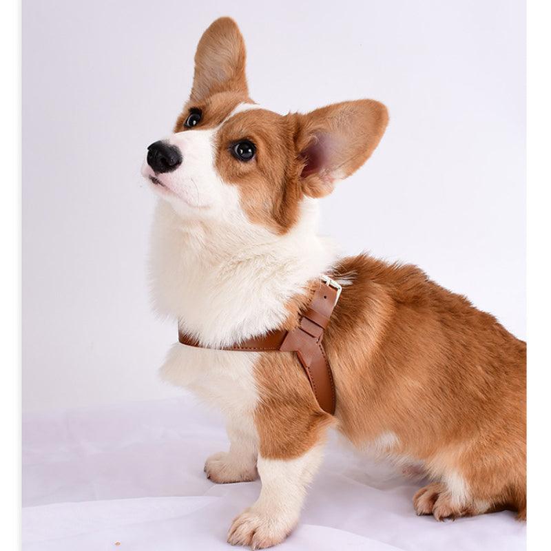 Minly® Leather Dog Harness & Leash Set - KIKOPALS