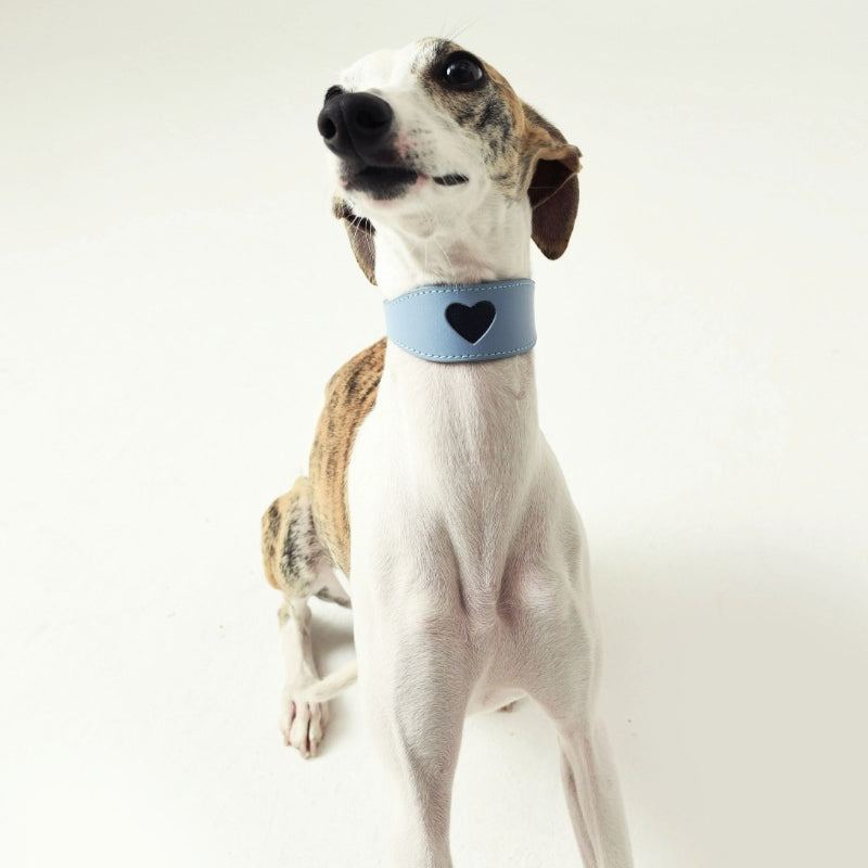 iiNeed® Leather Heart Collar for Whippets Dog