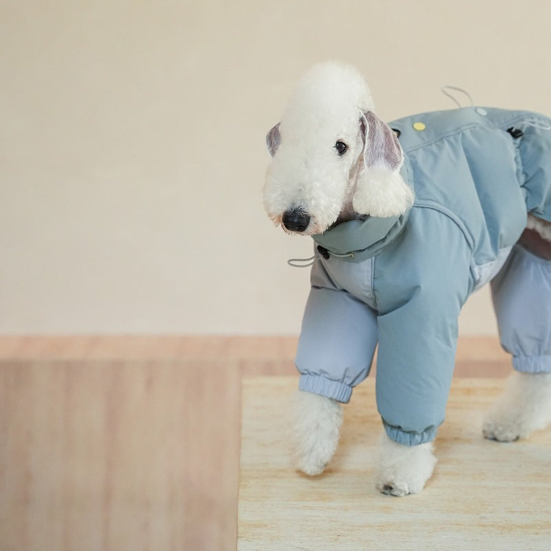 egge® Thickened Puffy Down Jacket for Dogs - GORE-TEX