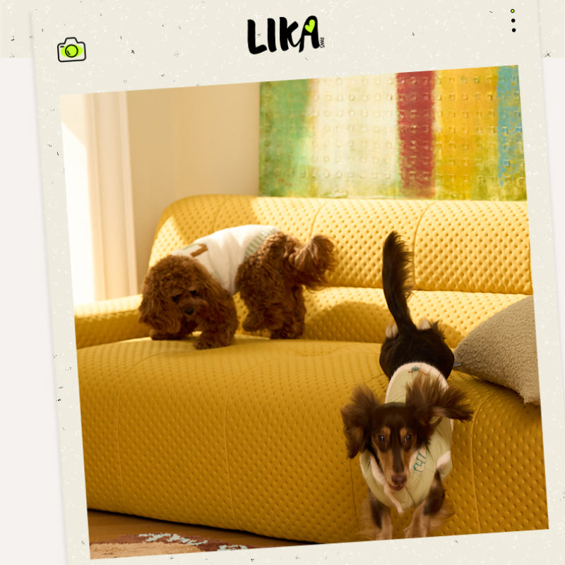 LIKAPAWS® Double-Sided Cotton Coat for Dogs – Green