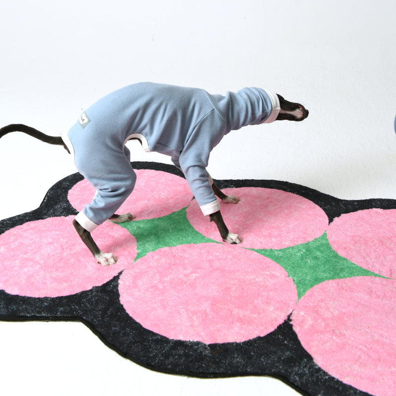 iiNeed® Comfortable Base Layer for Dogs