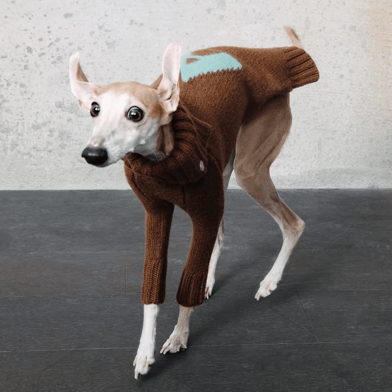 GASU® Chunky Wool Dog Two-Legged Sweater - KIKOPALS