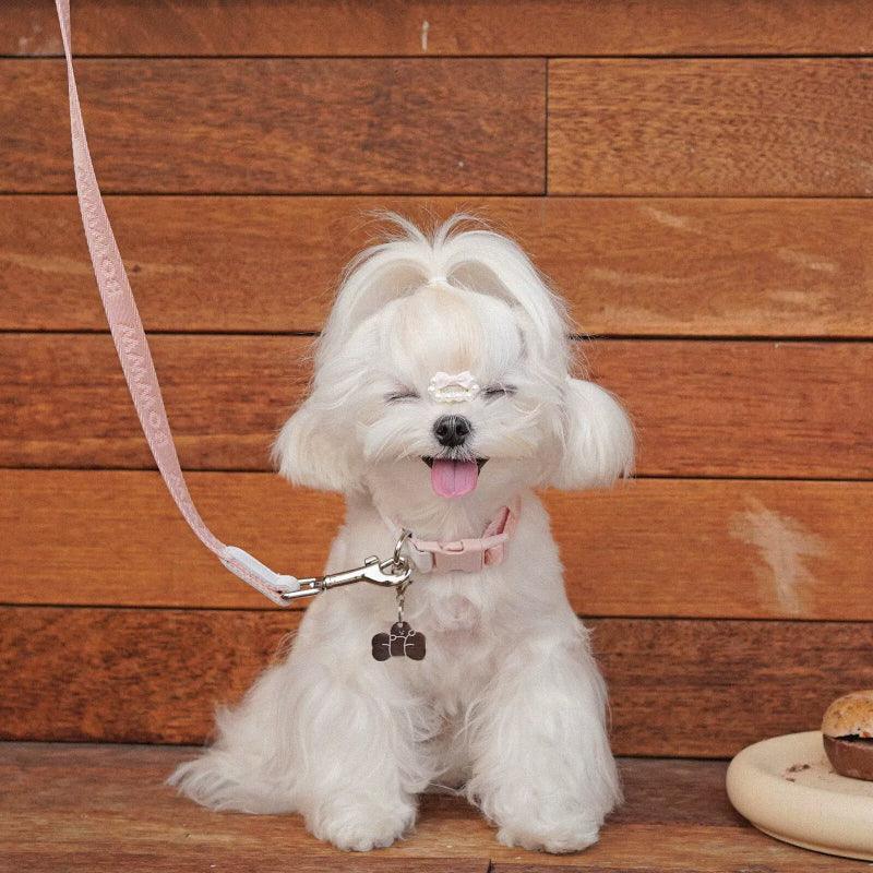 BOWWW® Barbie Pink Dog Collar & Leash Set - KIKOPALS